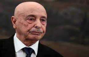 ليبيا..هل حصل صالح على الدعم المصري لترشحه للرئاسية؟