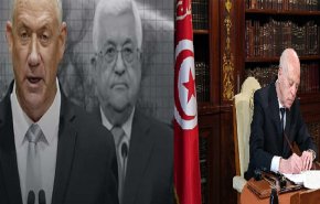 حركة النهضة والتعامل مع الأزمة السياسية التونسية.. لقاء عباس-غانتس لمصلحة من؟
