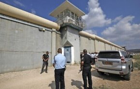 'نفق الحرية'.. احتفاء مصري بالغ بعملية فك أسر الأبطال الفلسطينيين