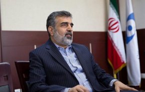 كمالوندي: عمليات تفتيش مراكزنا النووية مستمرة في اطار اتفاق الضمانات