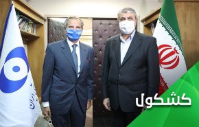 إيران تمنح مجموعة 4+1 فرصة لإنزال بايدن من شجرة ترامب