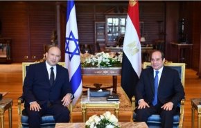 السيسي يدعو الى الحفاظ على التهدئة بين الجانبين الفلسطيني والإسرائيلي
