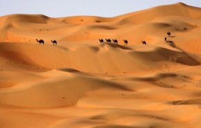 علماء يكشفون سر تماثيل الجمال العملاقة في شمال الجزيرة العربية
