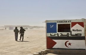 الجزائر تدين 