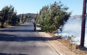 بالصور.. اخماد حريق أشجار حراجية بريف حمص
