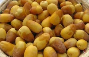 فائدة مهمة لا تعرفها للبلح الأصفر..!