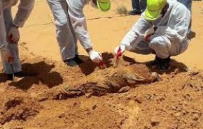 تقرير: ليبيا مسرح لشتى الجرائم خلال اربع سنوات 