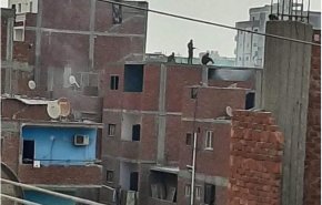 مقتل ضابطين مصريين في اشتباكات مسلحة في الإسماعيلية