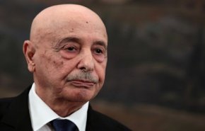 زيارة رسمية لرئيس مجلس النواب الليبي الى الجزائر