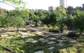 حتى الموتى لا يسلمون من الاحتلال.. احتفال فوق رفات المسلمين بالقدس!