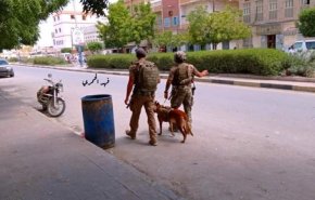 جنود من المارينز الأمريكي ينتشرون في شوارع حضرموت
