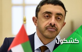 وزير خارجية الإمارات.. لا لأنصار الله، نعم لـ