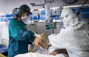 علماء يحددون فترة سريان مفعول الأجسام المضادة لكورونا
