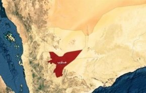 مارب.. تحالف العدوان يخسر قيادات بارزة في معركة العبدية