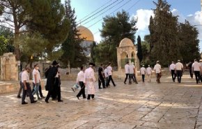 أحزاب أردنية تطالب بدعم مقاومة الفلسطينيين لتهويد القدس