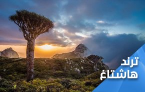 سقطرى تستجدي همم أبنائها للتخلص من الإحتلال الإماراتي
