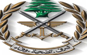 الجيش اللبناني يضبط أسلحة وذخائر خلال عملية دهم في عكار
