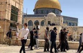 مخطط استيطاني لتهويد الجدار الغربي للمسجد الأقصى