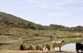 القوات الصهيونية تخطف راعيا من جنوب لبنان