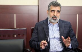 كمالوندي: على وكالة الطاقة ألا تتجاوز سلطاتها 