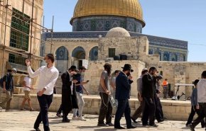 مستوطنون يقتحمون الأقصى ويؤدون طقوسا تلمودية