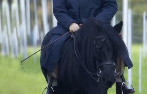 منع الملكة اليزابيث من ركوب الخيل والمشي مع الكلاب!
