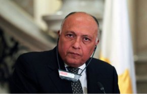 مصر تؤكد على ضرورة خروج المرتزقة والمقاتلين الأجانب من ليبيا
