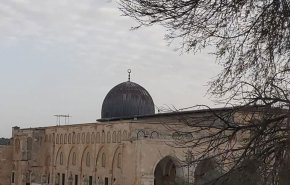 منظمة استيطانية تشرع ببناء منشأة حديدية مطلة على المسجد الأقصى
