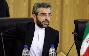 باقري يحدد الموضوع الرئيسي في محادثات فيينا
