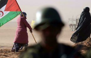 بالفيديو.. جبهة البوليساريو: تصريحات ملك المغرب أوهام