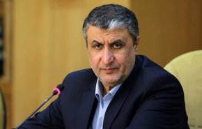 رئيس منظمة الطاقة الذرية يزور مشروع 