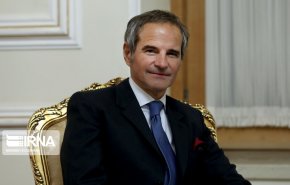 مدير 