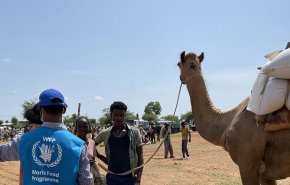 الأمم المتحدة: 7 ملايين شخص يعانون انعدام الأمن الغذائى فى إثيوبيا