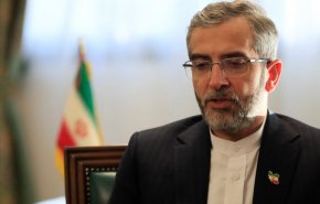 باقري: النجاح في مفاوضات فيينا يتطلب إلغاء كل حالات الحظر

