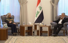 العامري لـبلاسخارت: هل تقديم الطعون هو تهديد للمفوضية؟