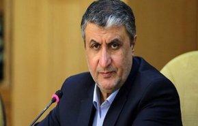 رئيس منظمة الطاقة الذرية: على