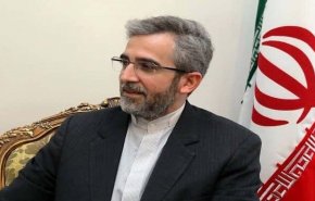 جدول المشاورات الدبلوماسية لـ علي باقري كني في فيينا 