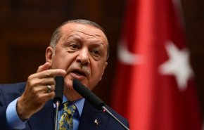 اردوغان يكشف عن زيارة مرتقبة له الى الامارات