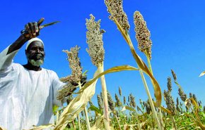 السودان يترقب تعزيز التعاون مع السعودية