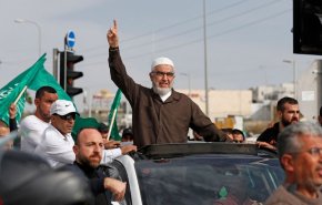 شاهد.. 