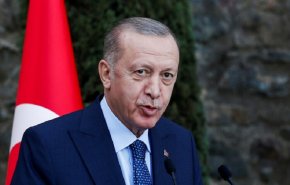 أردوغان سيزور الإمارات في الفترة 14-15 فبراير