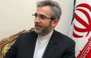 باقري كني: المفاوضات ستحرز تقدما اذا أبدى الجميع جدية