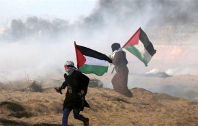 اصابة 154 فلسطينياً جراء اعتداءات الاحتلال بالضفة الغربية