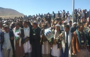 وفود البيضاء وشبوة ومأرب تؤكد وقوفها الى جانب الجيش واللجان