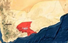مسؤول يمني: العدوان السعودي ارتكب جرائم مروعة في شبوة