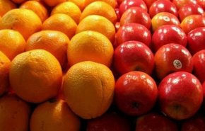 صادرات المنتجات الزراعية والغذائية تدرّ 3.4 مليار دولار على ايران