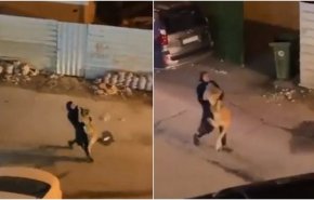 شاهد..شجاعة فتاة في الكويت تشعل مواقع التواصل!