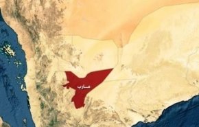 مقتل قائد كبير في ميليشيات منصور هادي في جنوب مأرب
