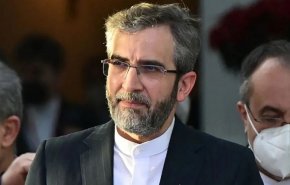 باقري كني: المباحثات ايجابية وماضية باتجاه الامام