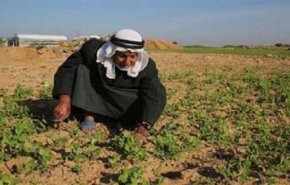 اجراء هولندي ضد فلسطين 